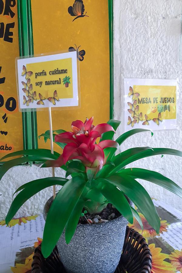 Hostal Gabo Bucaramanga Buitenkant foto