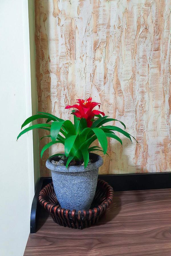 Hostal Gabo Bucaramanga Buitenkant foto